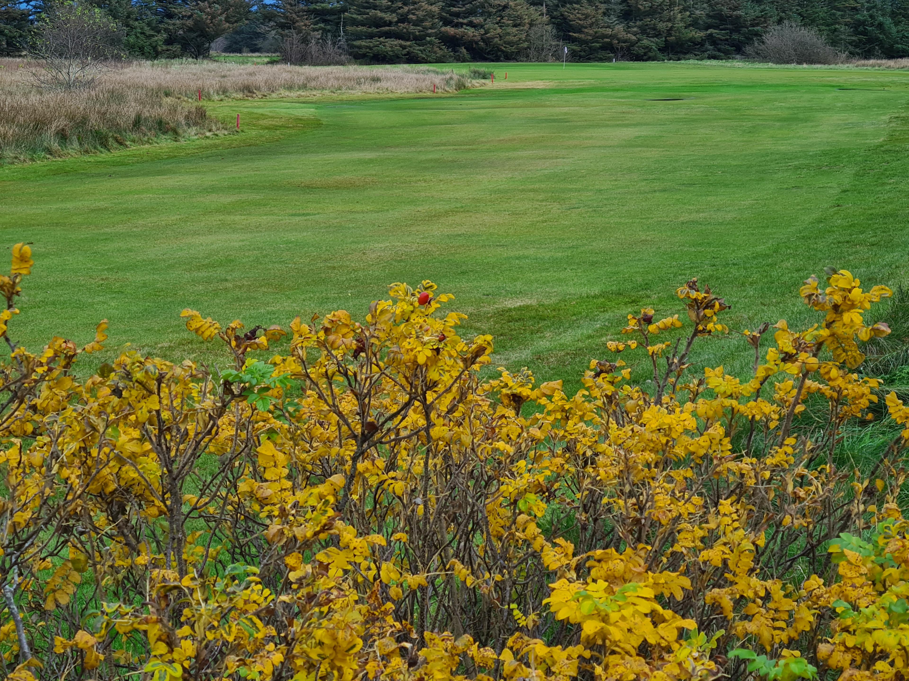 Løkken Golfklub 